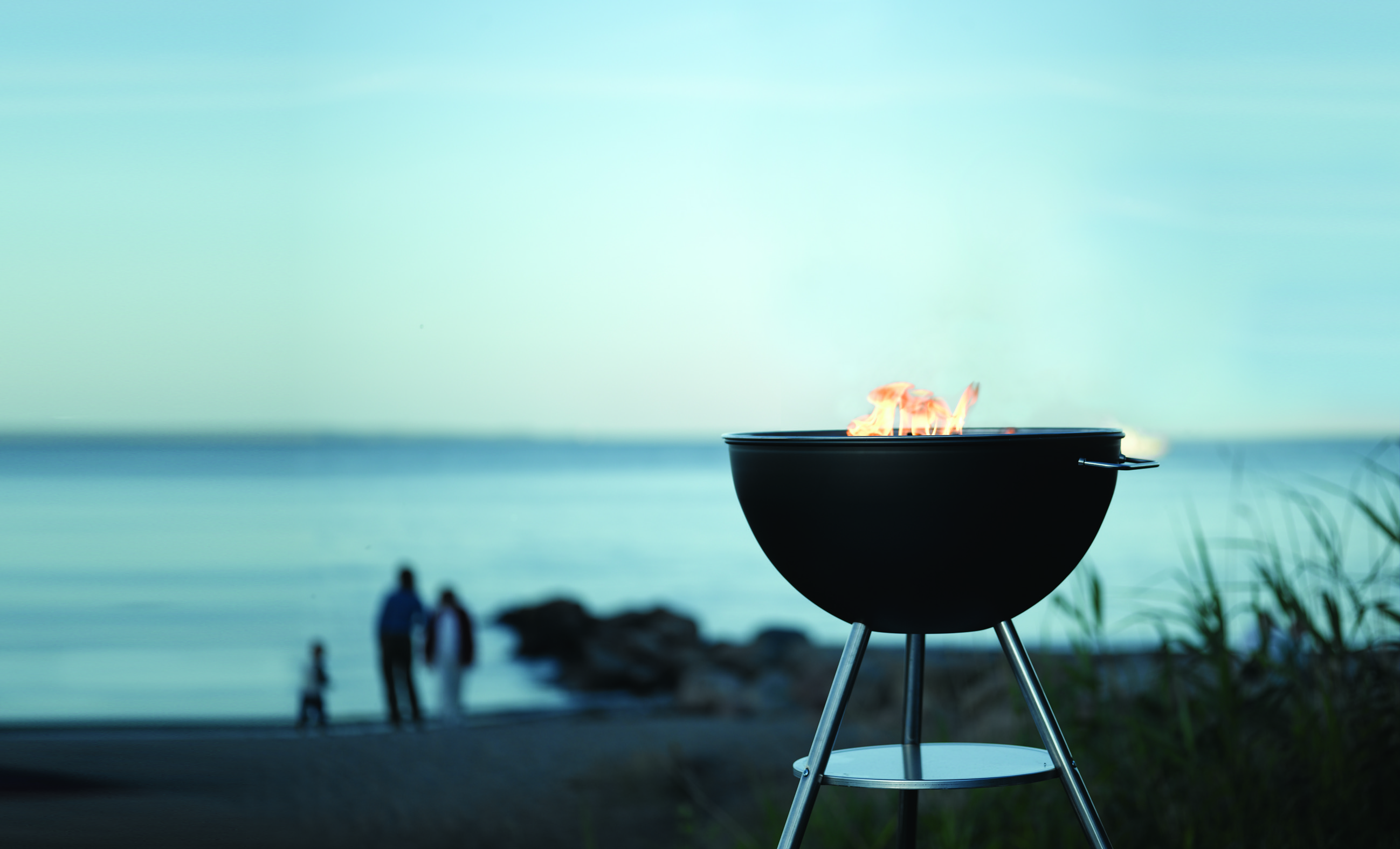 Barbecue a Carbonella
